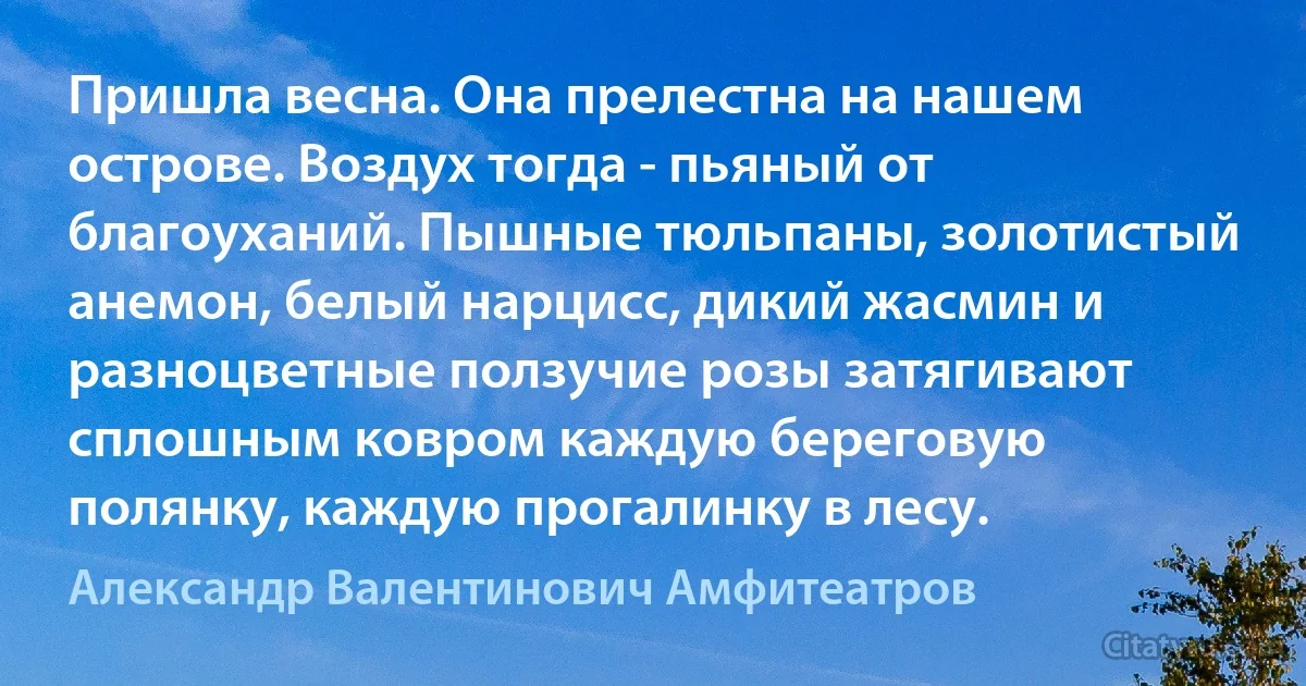 Пришла весна. Она прелестна на нашем острове. Воздух тогда - пьяный от благоуханий. Пышные тюльпаны, золотистый анемон, белый нарцисс, дикий жасмин и разноцветные ползучие розы затягивают сплошным ковром каждую береговую полянку, каждую прогалинку в лесу. (Александр Валентинович Амфитеатров)