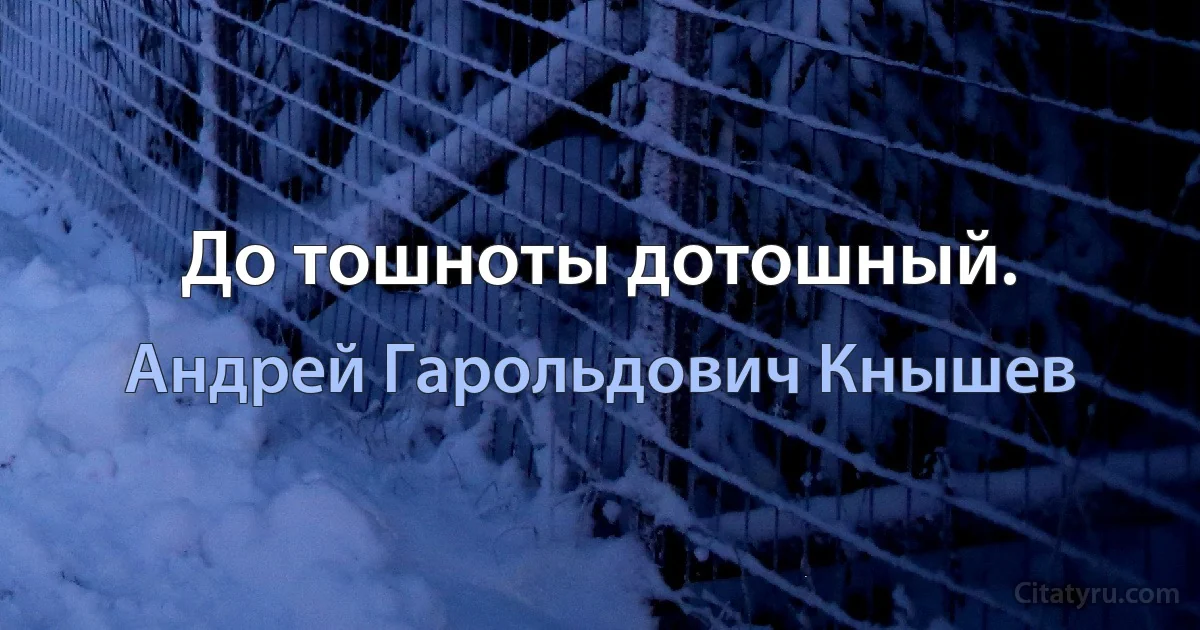 До тошноты дотошный. (Андрей Гарольдович Кнышев)