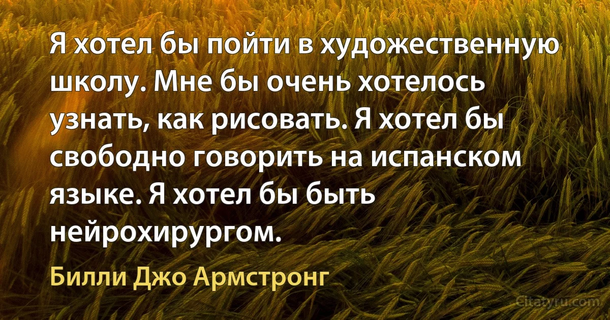 Я хотел бы пойти в художественную школу. Мне бы очень хотелось узнать, как рисовать. Я хотел бы свободно говорить на испанском языке. Я хотел бы быть нейрохирургом. (Билли Джо Армстронг)