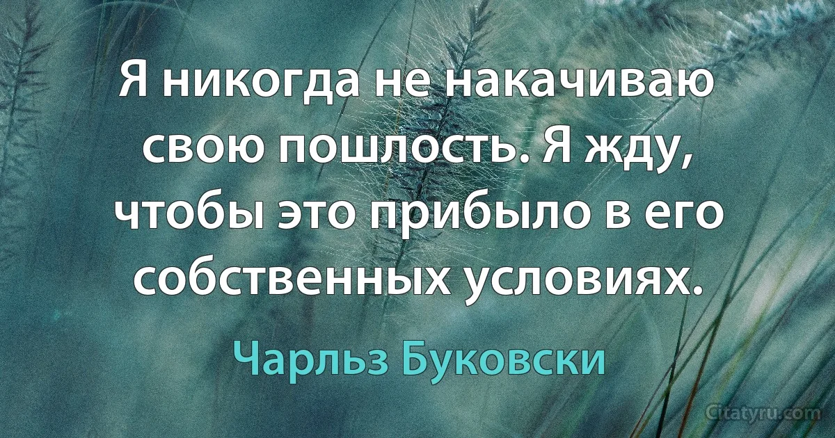 Я никогда не накачиваю свою пошлость. Я жду, чтобы это прибыло в его собственных условиях. (Чарльз Буковски)