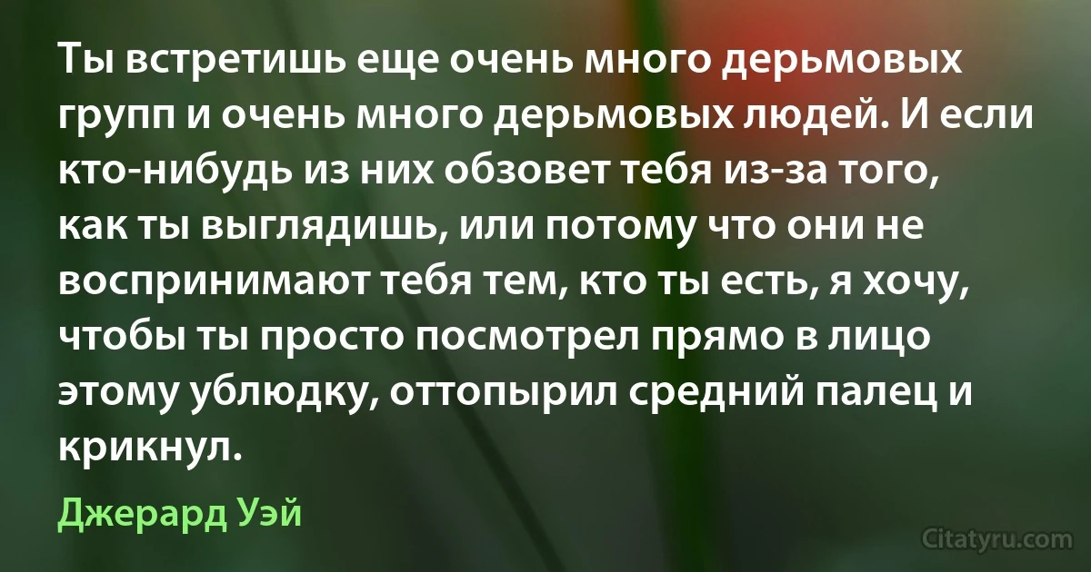 Ты встретишь еще очень много дерьмовых групп и очень много дерьмовых людей. И если кто-нибудь из них обзовет тебя из-за того, как ты выглядишь, или потому что они не воспринимают тебя тем, кто ты есть, я хочу, чтобы ты просто посмотрел прямо в лицо этому ублюдку, оттопырил средний палец и крикнул. (Джерард Уэй)