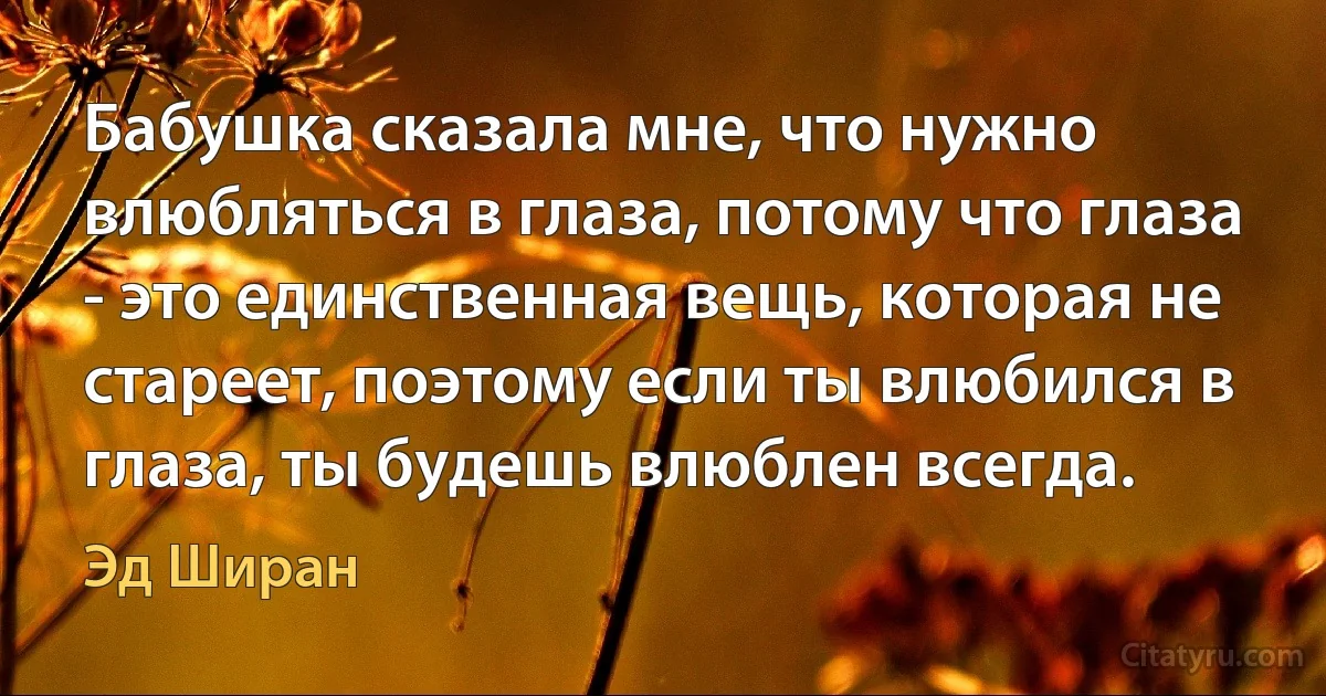 Бабушка сказала мне, что нужно влюбляться в глаза, потому что глаза - это единственная вещь, которая не стареет, поэтому если ты влюбился в глаза, ты будешь влюблен всегда. (Эд Ширан)