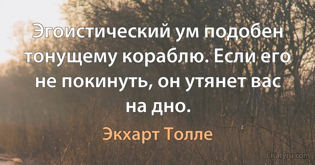 Эгоистический ум подобен тонущему кораблю. Если его не покинуть, он утянет вас на дно. (Экхарт Толле)