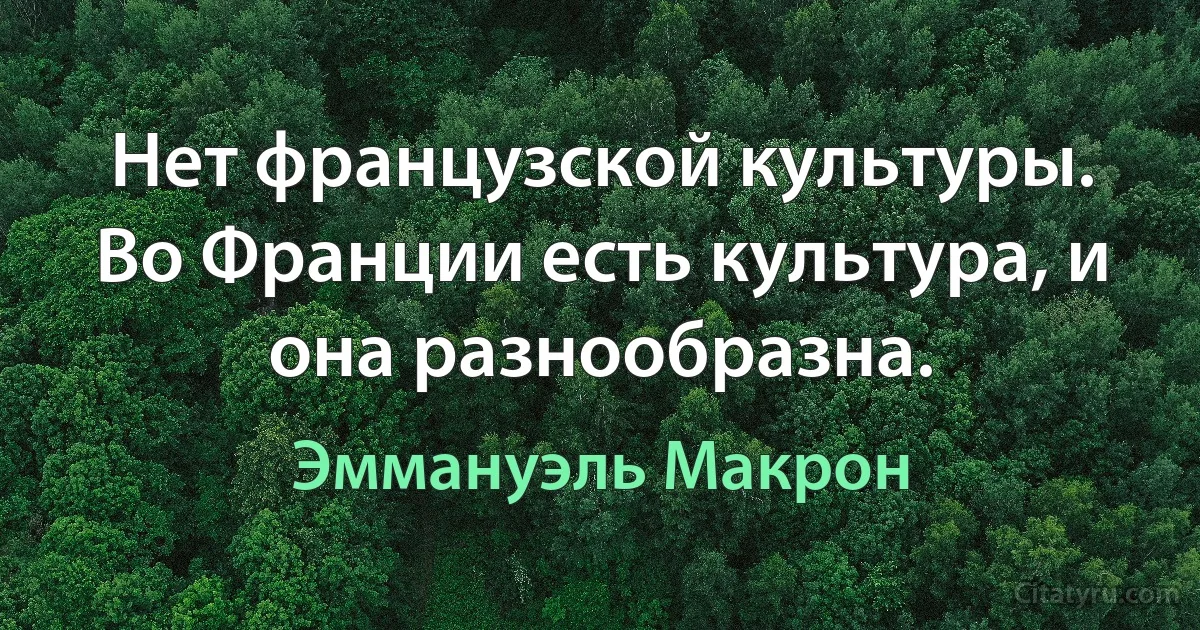 Нет французской культуры. Во Франции есть культура, и она разнообразна. (Эммануэль Макрон)