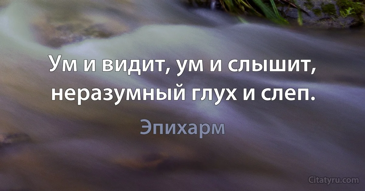 Ум и видит, ум и слышит, неразумный глух и слеп. (Эпихарм)