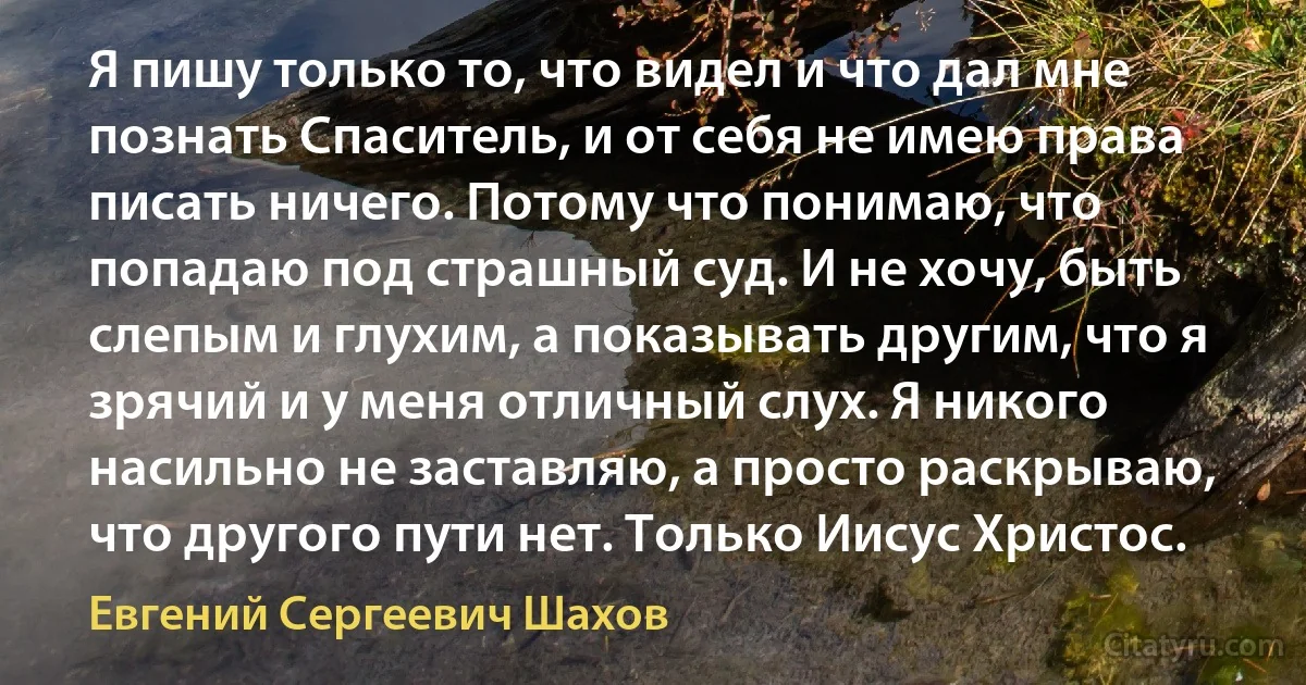 Я пишу только то, что видел и что дал мне познать Спаситель, и от себя не имею права писать ничего. Потому что понимаю, что попадаю под страшный суд. И не хочу, быть слепым и глухим, а показывать другим, что я зрячий и у меня отличный слух. Я никого насильно не заставляю, а просто раскрываю, что другого пути нет. Только Иисус Христос. (Евгений Сергеевич Шахов)