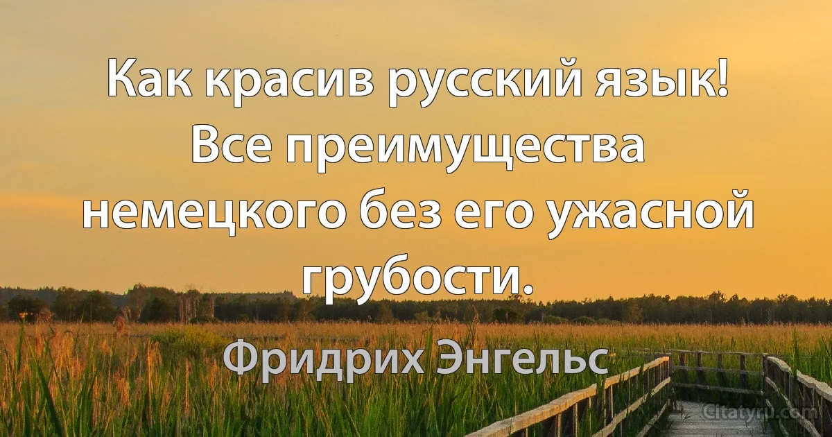 Как красив русский язык! Все преимущества немецкого без его ужасной грубости. (Фридрих Энгельс)