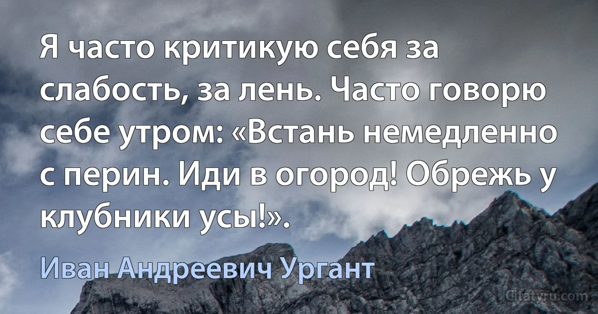 Я часто критикую себя за слабость, за лень. Часто говорю себе утром: «Встань немедленно с перин. Иди в огород! Обрежь у клубники усы!». (Иван Андреевич Ургант)