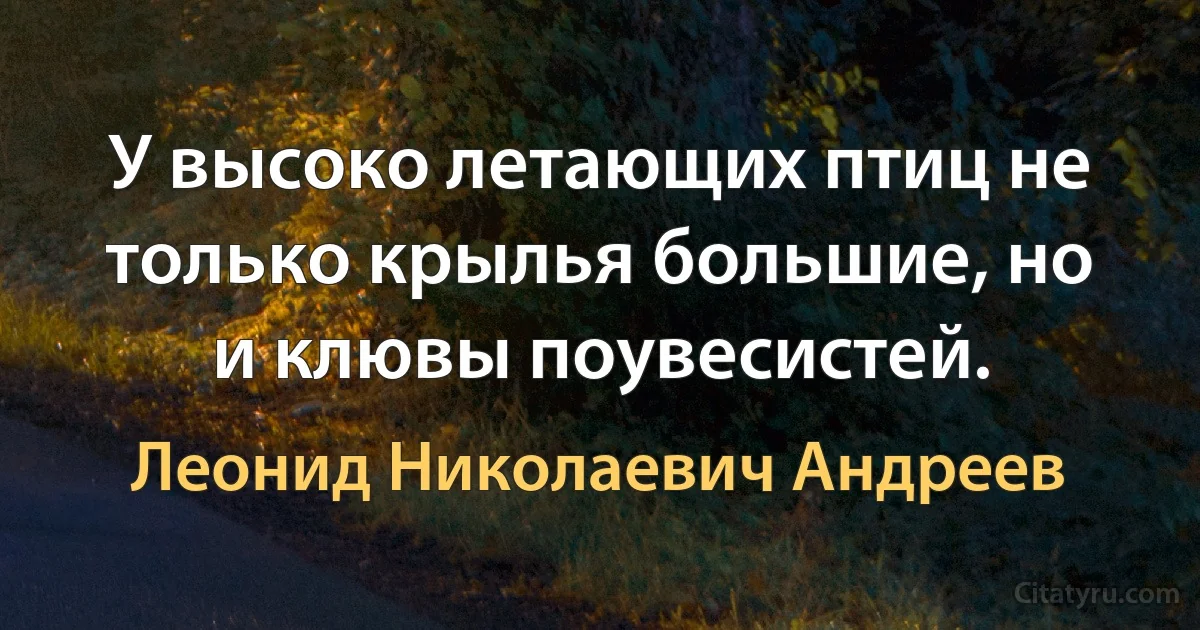 У высоко летающих птиц не только крылья большие, но и клювы поувесистей. (Леонид Николаевич Андреев)