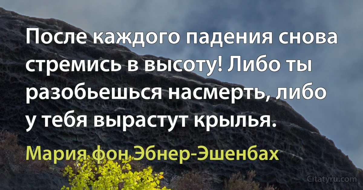 После каждого падения снова стремись в высоту! Либо ты разобьешься насмерть, либо у тебя вырастут крылья. (Мария фон Эбнер-Эшенбах)