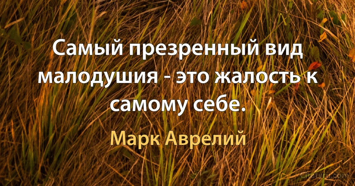 Самый презренный вид малодушия - это жалость к самому себе. (Марк Аврелий)