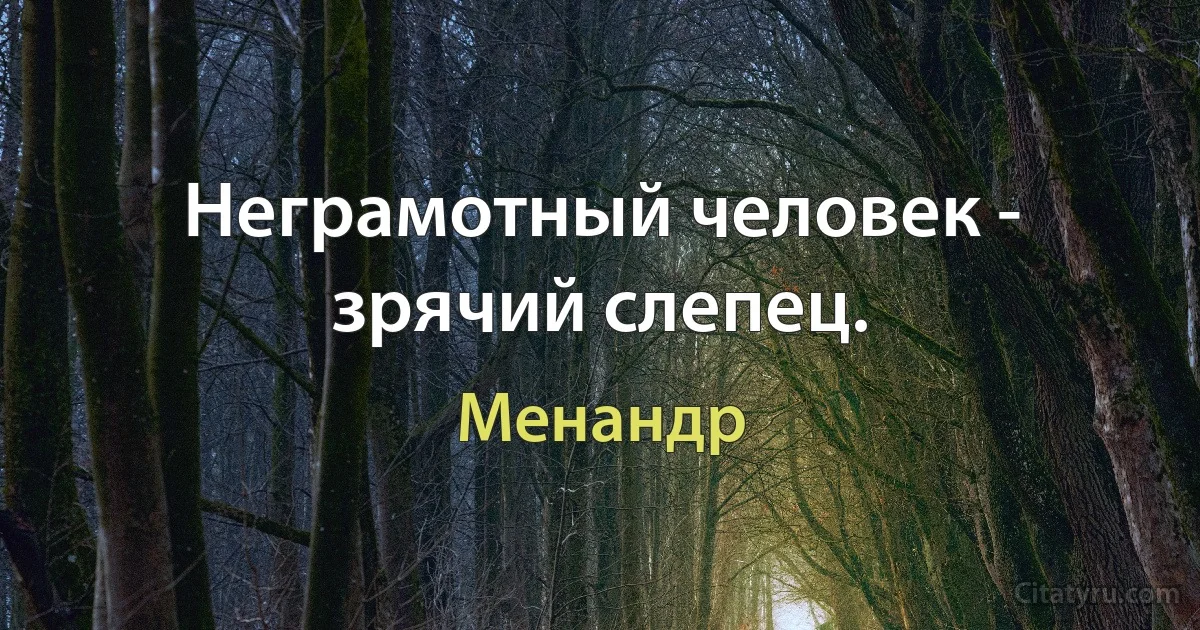 Неграмотный человек - зрячий слепец. (Менандр)