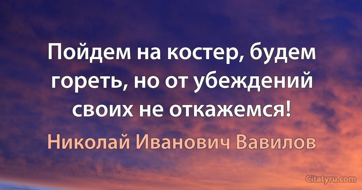 Пойдем на костер, будем гореть, но от убеждений своих не откажемся! (Николай Иванович Вавилов)