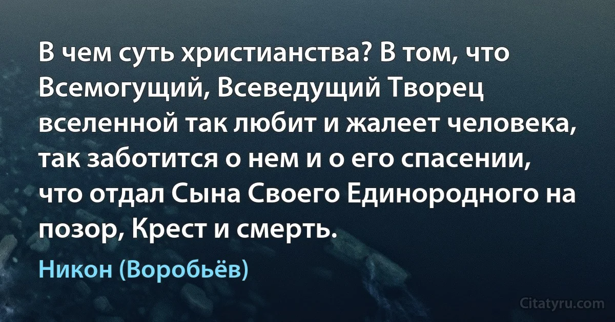 В чем суть христианства? В том, что Всемогущий, Всеведущий Творец вселенной так любит и жалеет человека, так заботится о нем и о его спасении, что отдал Сына Своего Единородного на позор, Крест и смерть. (Никон (Воробьёв))