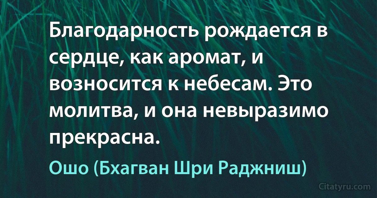 Благодарность рождается в сердце, как аромат, и возносится к небесам. Это молитва, и она невыразимо прекрасна. (Ошо (Бхагван Шри Раджниш))