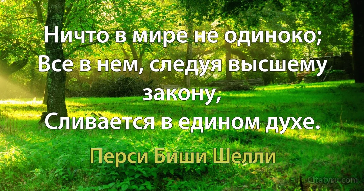 Ничто в мире не одиноко;
Все в нем, следуя высшему закону,
Сливается в едином духе. (Перси Биши Шелли)