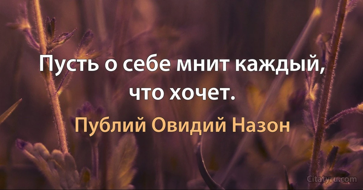 Пусть о себе мнит каждый, что хочет. (Публий Овидий Назон)