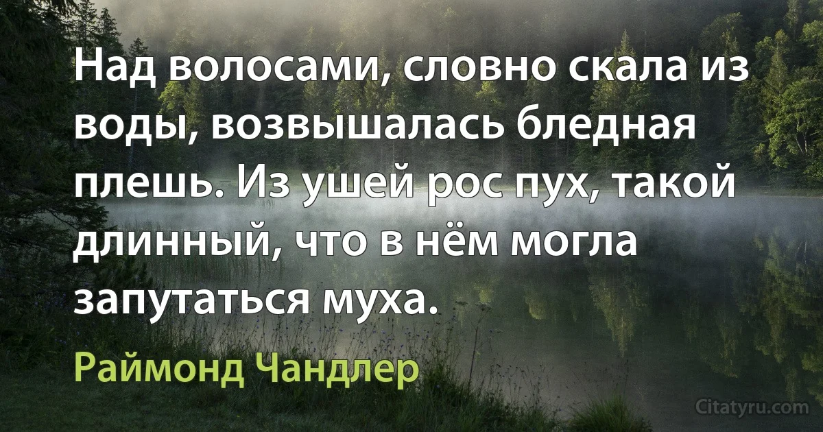 Над волосами, словно скала из воды, возвышалась бледная плешь. Из ушей рос пух, такой длинный, что в нём могла запутаться муха. (Раймонд Чандлер)