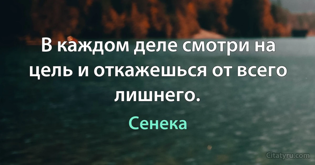 В каждом деле смотри на цель и откажешься от всего лишнего. (Сенека)