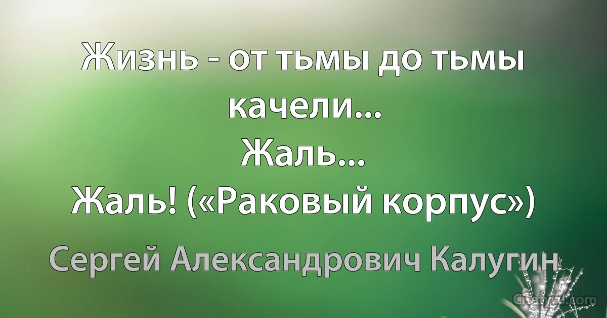 Жизнь - от тьмы до тьмы качели...
Жаль...
Жаль! («Раковый корпус») (Сергей Александрович Калугин)