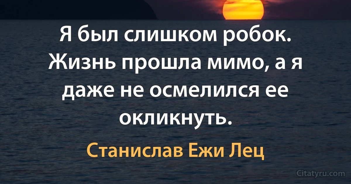 Я был слишком робок. Жизнь прошла мимо, а я даже не осмелился ее окликнуть. (Станислав Ежи Лец)