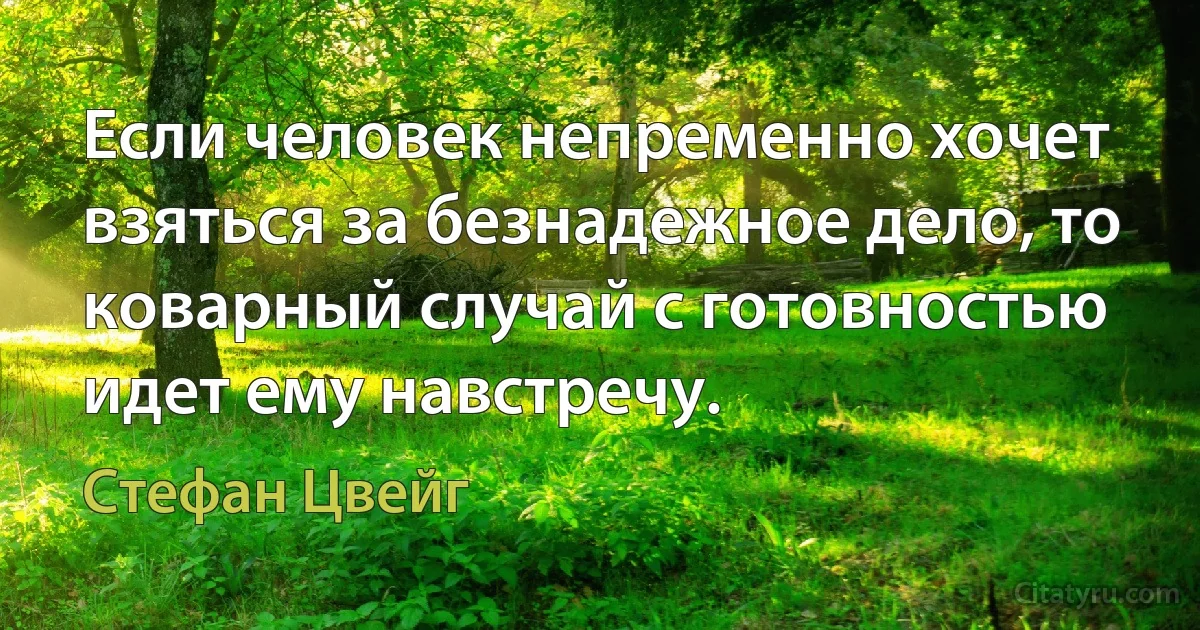 Если человек непременно хочет взяться за безнадежное дело, то коварный случай с готовностью идет ему навстречу. (Стефан Цвейг)