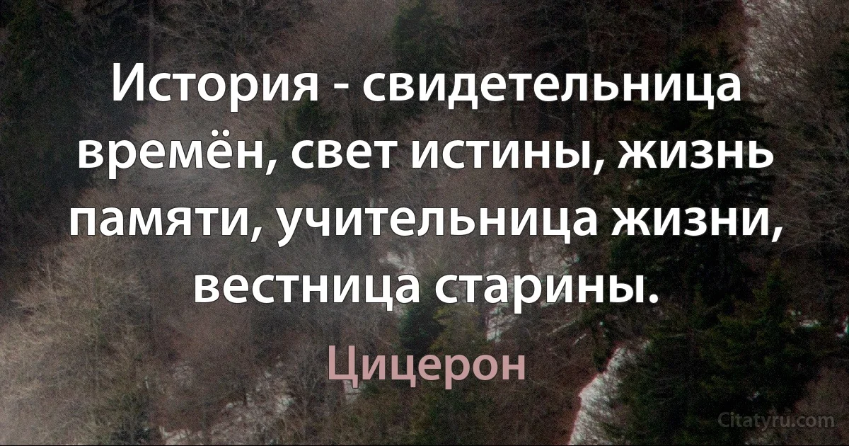 История - свидетельница времён, свет истины, жизнь памяти, учительница жизни, вестница старины. (Цицерон)