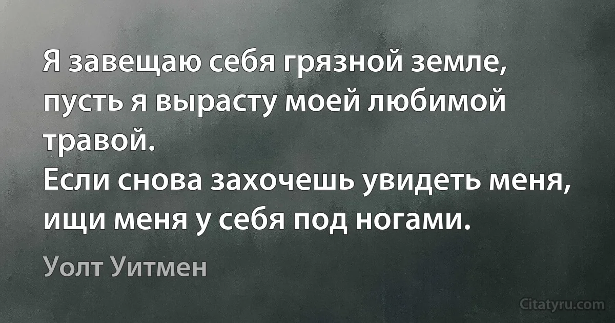 Я завещаю себя грязной земле, пусть я вырасту моей любимой травой.
Если снова захочешь увидеть меня, ищи меня у себя под ногами. (Уолт Уитмен)