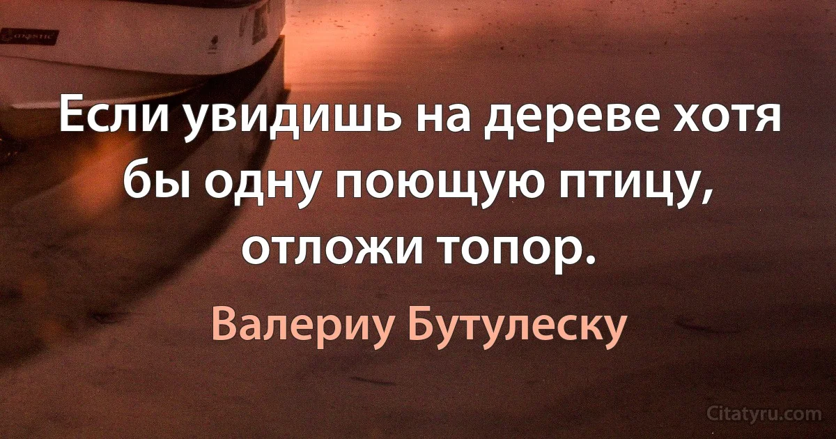 Если увидишь на дереве хотя бы одну поющую птицу, отложи топор. (Валериу Бутулеску)