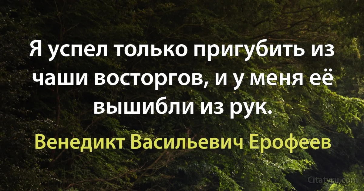 Я успел только пригубить из чаши восторгов, и у меня её вышибли из рук. (Венедикт Васильевич Ерофеев)