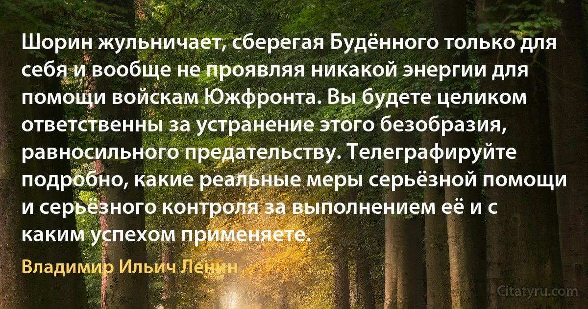 Шорин жульничает, сберегая Будённого только для себя и вообще не проявляя никакой энергии для помощи войскам Южфронта. Вы будете целиком ответственны за устранение этого безобразия, равносильного предательству. Телеграфируйте подробно, какие реальные меры серьёзной помощи и серьёзного контроля за выполнением её и с каким успехом применяете. (Владимир Ильич Ленин)