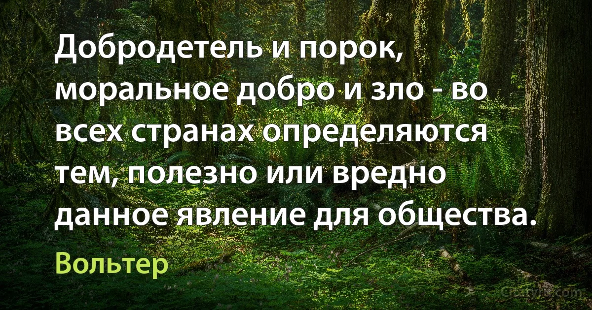 Добродетель и порок, моральное добро и зло - во всех странах определяются тем, полезно или вредно данное явление для общества. (Вольтер)