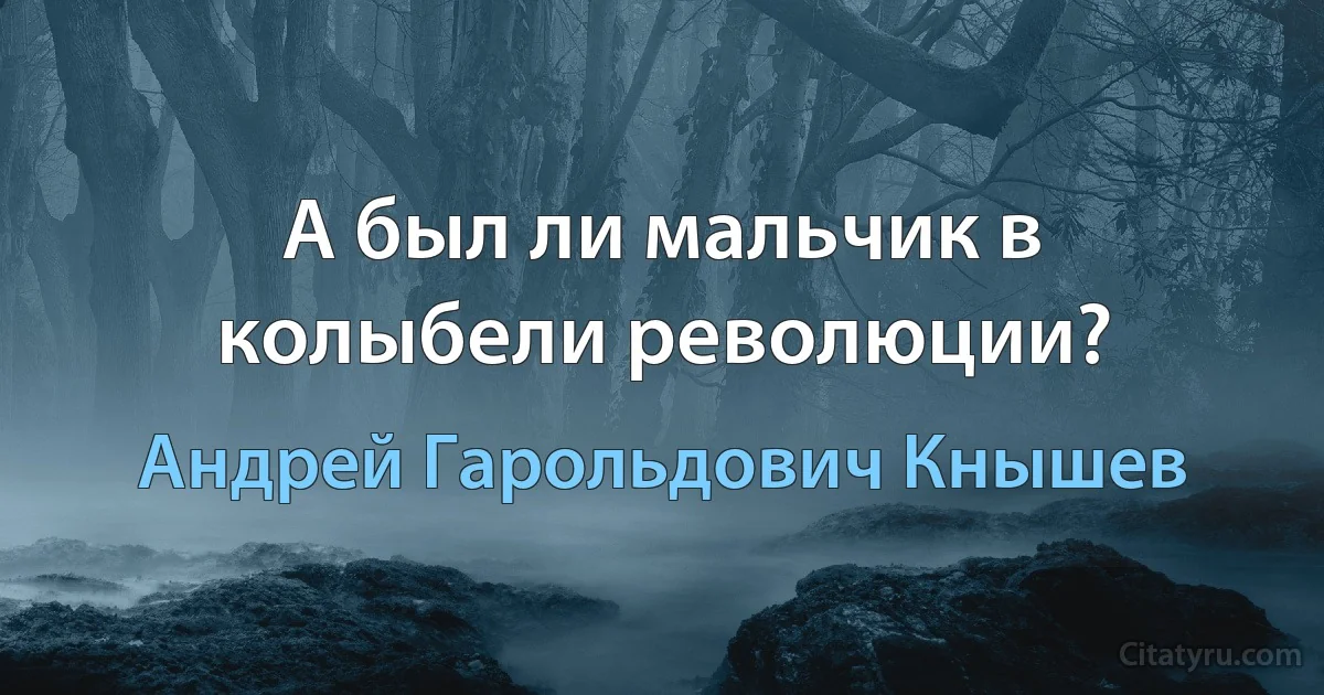 А был ли мальчик в колыбели революции? (Андрей Гарольдович Кнышев)