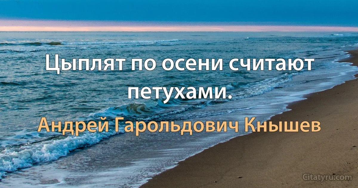 Цыплят по осени считают петухами. (Андрей Гарольдович Кнышев)