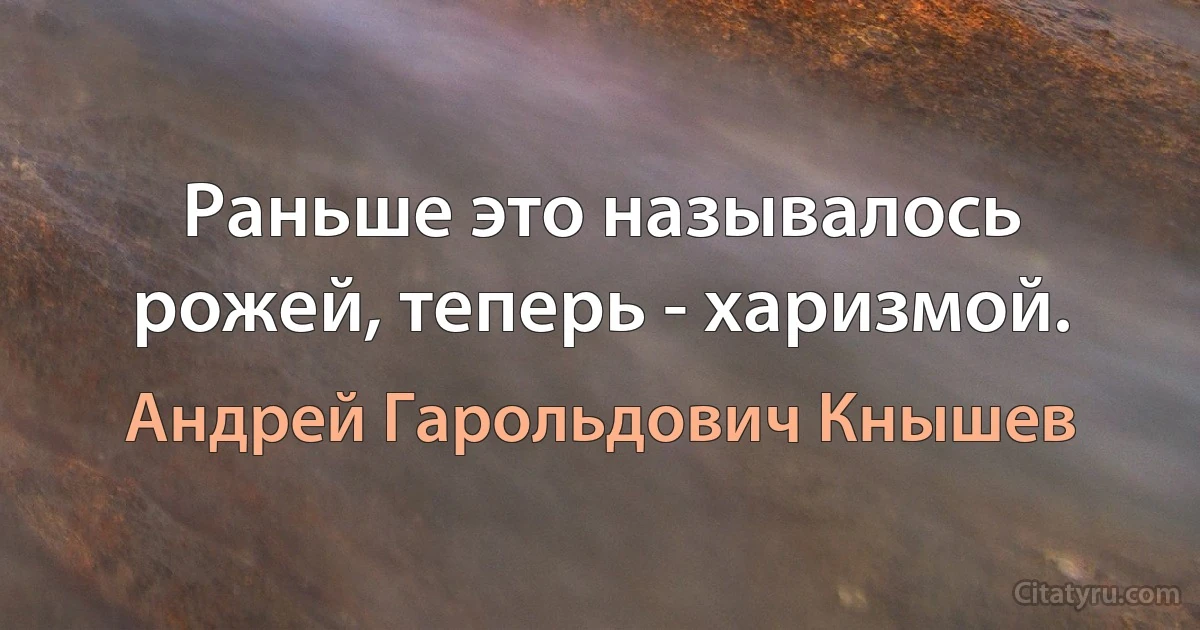 Раньше это называлось рожей, теперь - харизмой. (Андрей Гарольдович Кнышев)