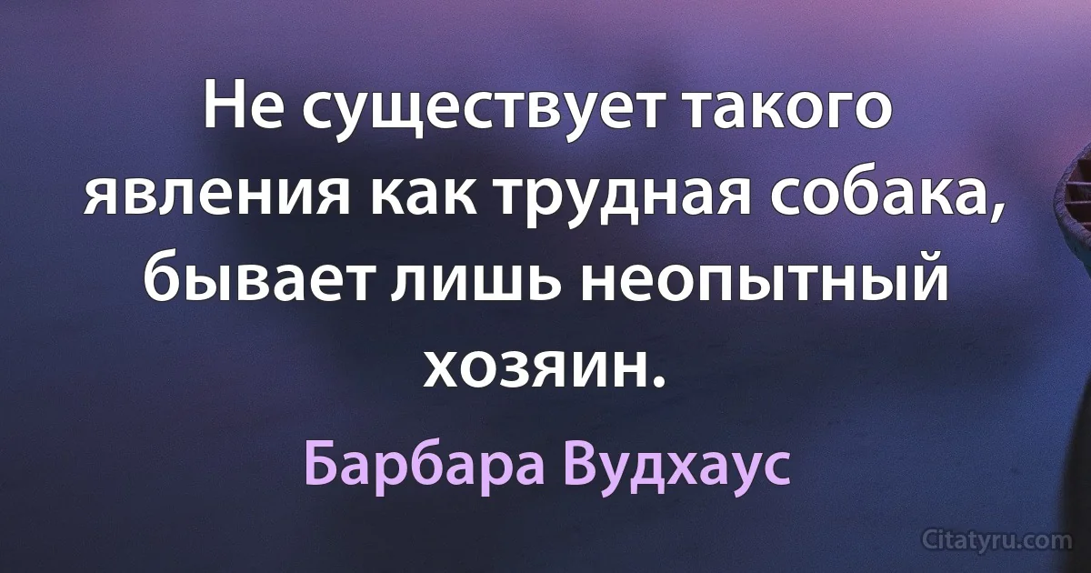 Не существует такого явления как трудная собака, бывает лишь неопытный хозяин. (Барбара Вудхаус)