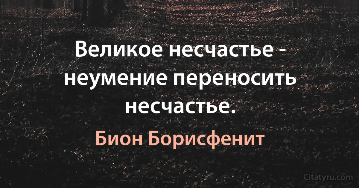 Великое несчастье - неумение переносить несчастье. (Бион Борисфенит)