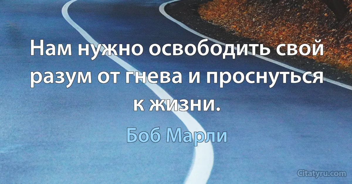 Нам нужно освободить свой разум от гнева и проснуться к жизни. (Боб Марли)