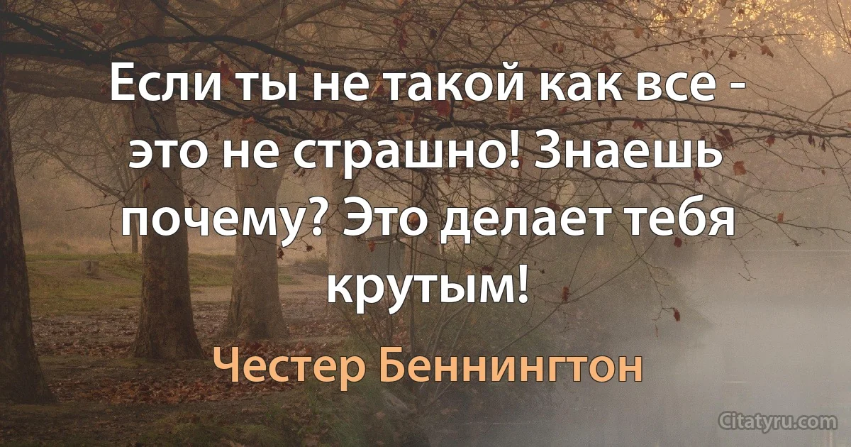 Если ты не такой как все - это не страшно! Знаешь почему? Это делает тебя крутым! (Честер Беннингтон)