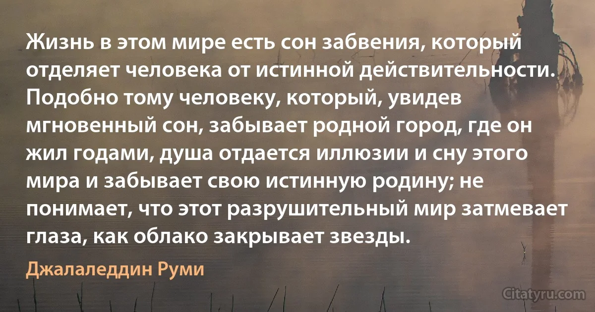 Жизнь в этом мире есть сон забвения, который отделяет человека от истинной действительности. Подобно тому человеку, который, увидев мгновенный сон, забывает родной город, где он жил годами, душа отдается иллюзии и сну этого мира и забывает свою истинную родину; не понимает, что этот разрушительный мир затмевает глаза, как облако закрывает звезды. (Джалаледдин Руми)