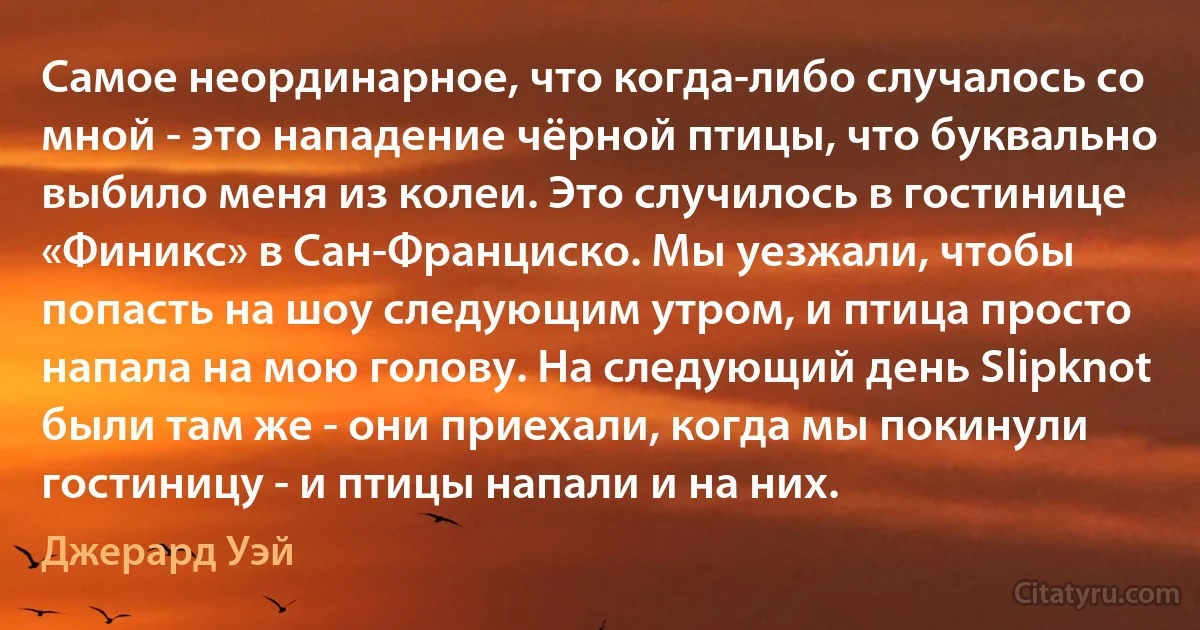 Самое неординарное, что когда-либо случалось со мной - это нападение чёрной птицы, что буквально выбило меня из колеи. Это случилось в гостинице «Финикс» в Сан-Франциско. Мы уезжали, чтобы попасть на шоу следующим утром, и птица просто напала на мою голову. На следующий день Slipknot были там же - они приехали, когда мы покинули гостиницу - и птицы напали и на них. (Джерард Уэй)