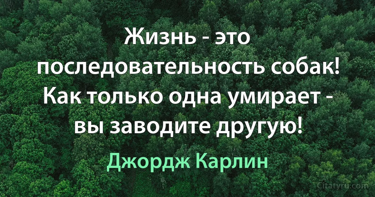 Жизнь - это последовательность собак! Как только одна умирает - вы заводите другую! (Джордж Карлин)