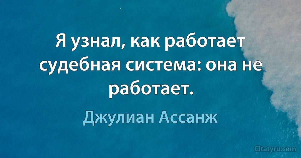 Я узнал, как работает судебная система: она не работает. (Джулиан Ассанж)