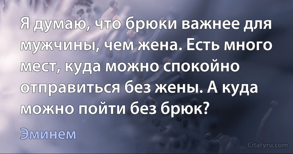 Я думаю, что брюки важнее для мужчины, чем жена. Есть много мест, куда можно спокойно отправиться без жены. А куда можно пойти без брюк? (Эминем)