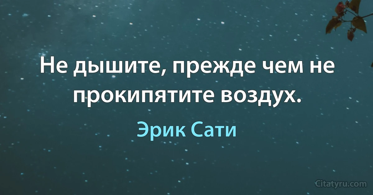 Не дышите, прежде чем не прокипятите воздух. (Эрик Сати)