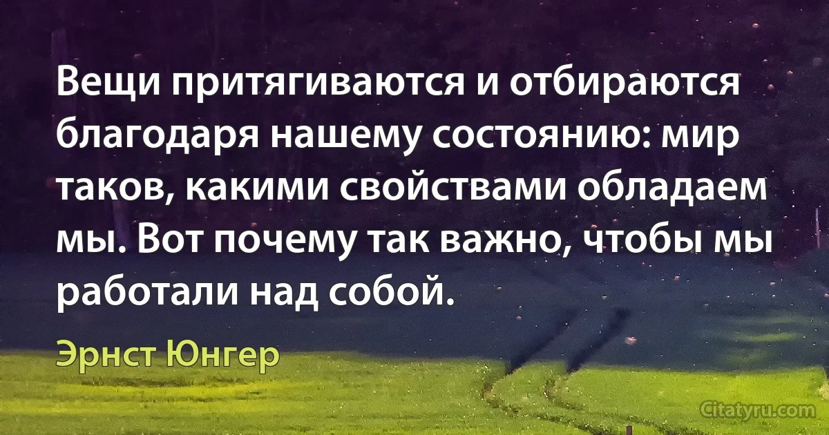 Вещи притягиваются и отбираются благодаря нашему состоянию: мир таков, какими свойствами обладаем мы. Вот почему так важно, чтобы мы работали над собой. (Эрнст Юнгер)