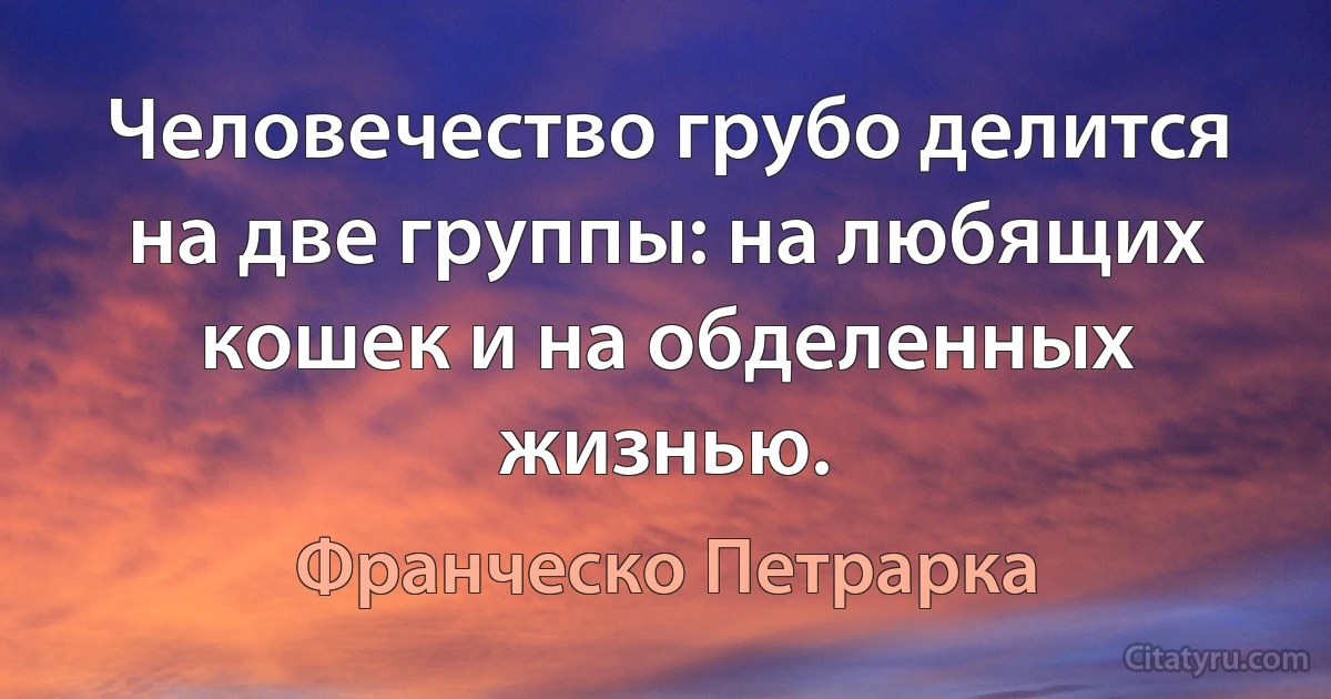 Человечество грубо делится на две группы: на любящих кошек и на обделенных жизнью. (Франческо Петрарка)