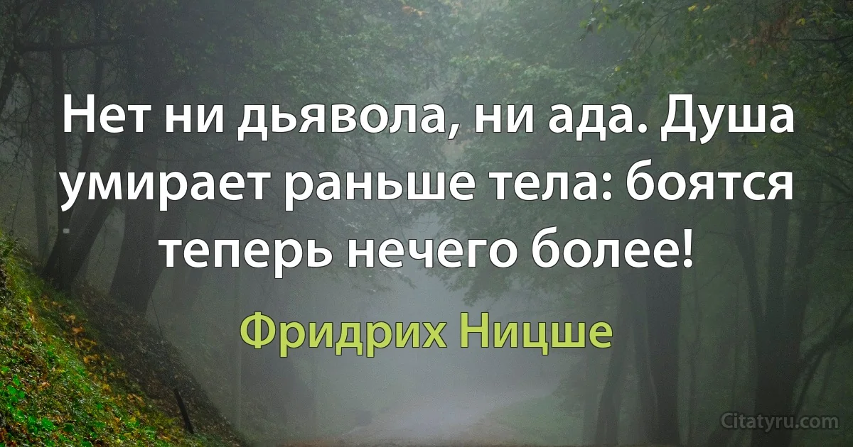 Нет ни дьявола, ни ада. Душа умирает раньше тела: боятся теперь нечего более! (Фридрих Ницше)