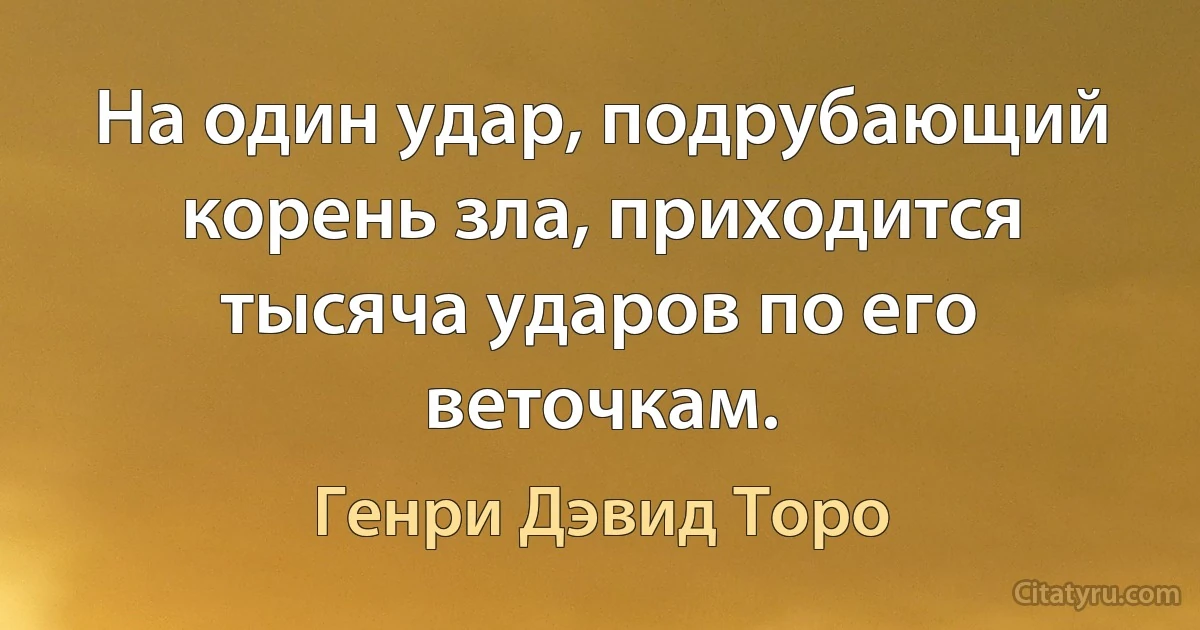 На один удар, подрубающий корень зла, приходится тысяча ударов по его веточкам. (Генри Дэвид Торо)