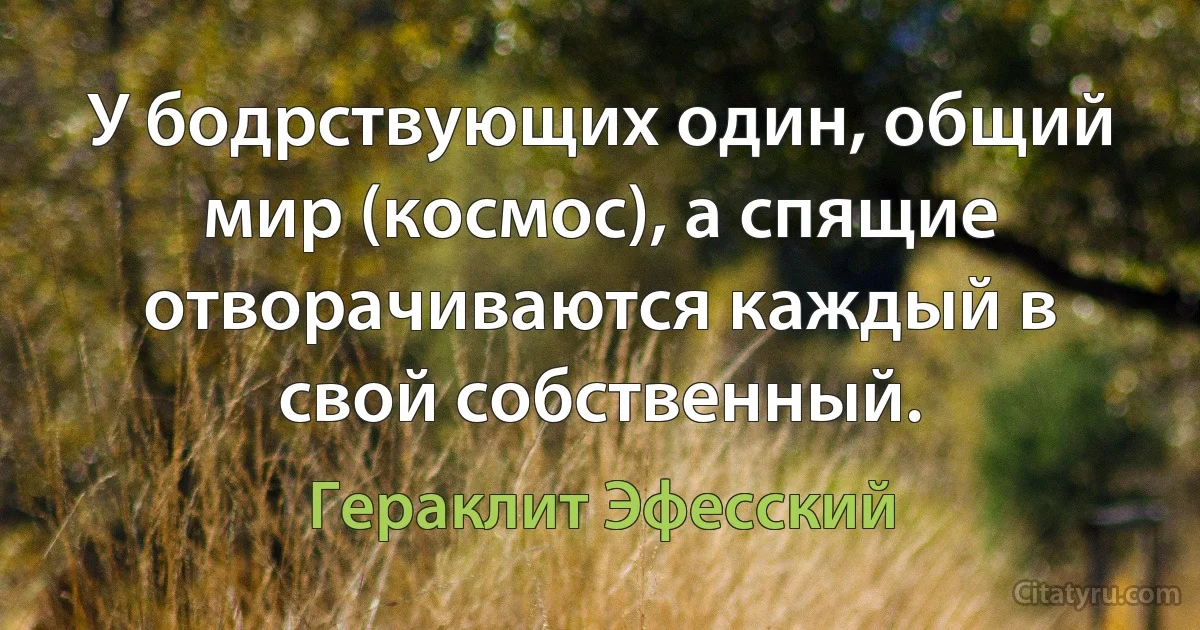 У бодрствующих один, общий мир (космос), а спящие отворачиваются каждый в свой собственный. (Гераклит Эфесский)